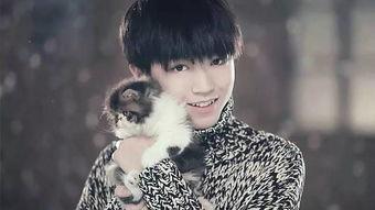 陈星宇重庆爆料最新消息,揭秘最新热点事件内幕  第1张