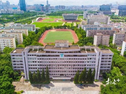 韶关学院爆料新闻最新视频,揭秘校园热点事件背后的真相